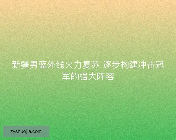 新疆男篮外线火力复苏 逐步构建冲击冠军的强大阵容